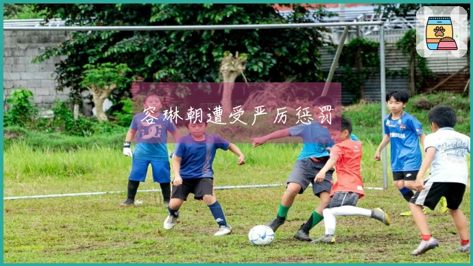 容琳朝遭受严厉惩罚